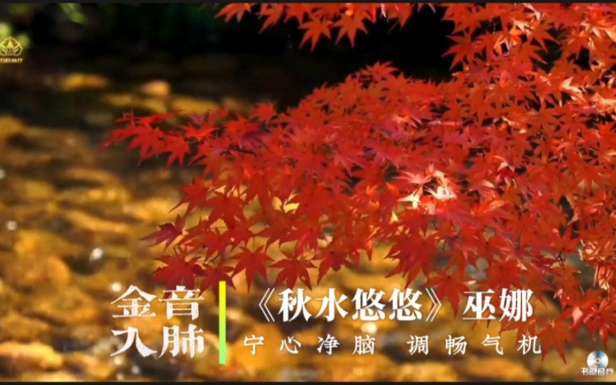 『五音疗疾』金音入肺，宁心净脑，养元贮能，调畅气机，调整情绪，昏沉，用脑过度可多听用。