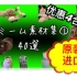 日本原装进口猫meme绿幕素材
