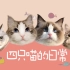 【布偶猫】【缅因猫】四只猫的（战斗）日常