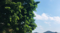 海南儋州云月湖