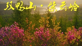 3002ba921624ab3d9eb41bb7c95cd71832139703.jpg@280w_158h_1c_100q.jpg