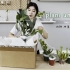 夏季也没忍住剁手的植物开箱视频 | 中美植物价格对比 | Collective Houseplant Unboxing