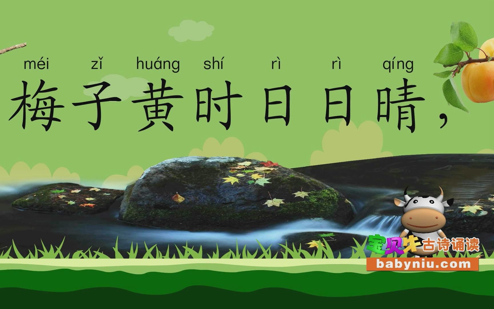 三衢道中_宝贝牛babyniu_古诗诵读(简版)