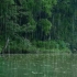 【环绕立体音】听！湖畔那迷人的雨声和雷声！自然真实雨声白噪音|快速入睡 |深度睡眠 |学习环境音|治愈|助眠|放松音乐|