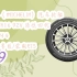 优惠分享|米其林（MICHELIN）汽车轮胎 205/60R16 92V 浩悦四代 PRIMACY 4 适配科鲁兹/荣威