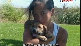 308288aff56ae3d0349513551b29078caf8af9f1.jpg@280w_158h_1c_100q.jpg