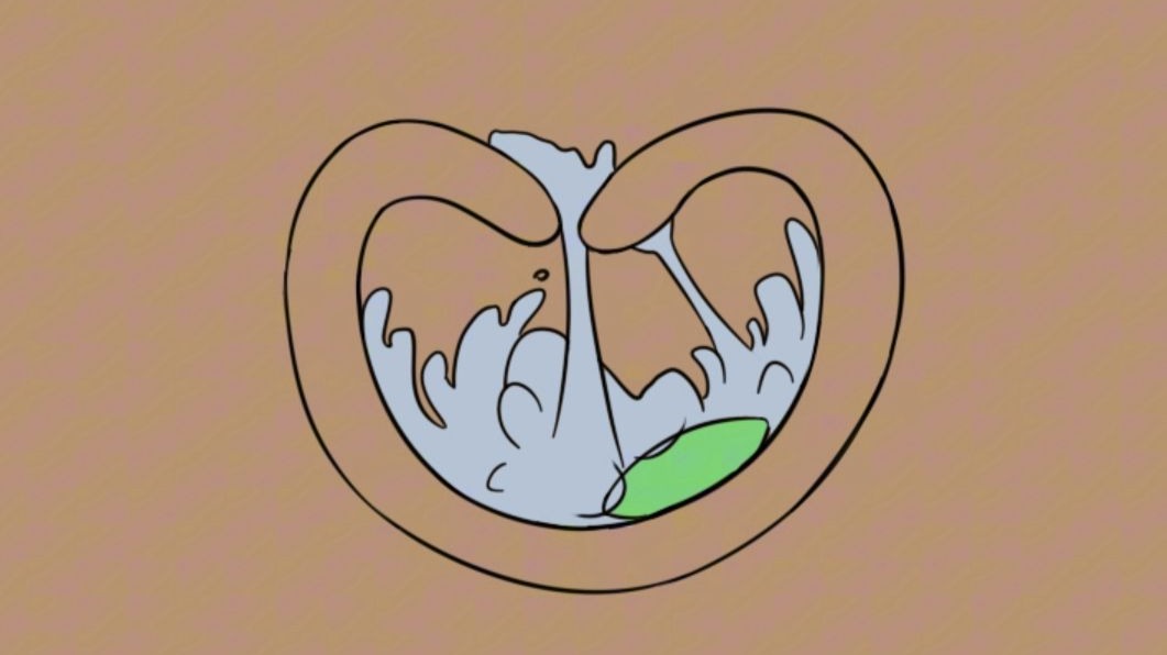 《花卉社》第二课：栽培