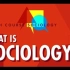 【10分钟速成课：社会学】第1集 - 什么是社会学？