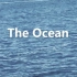 【影视剪辑】如何用指定垃圾素材一小时内混剪人文短片《The Ocean》