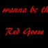 【K酱】I WANNA BE THE RED GOOSE 新手向