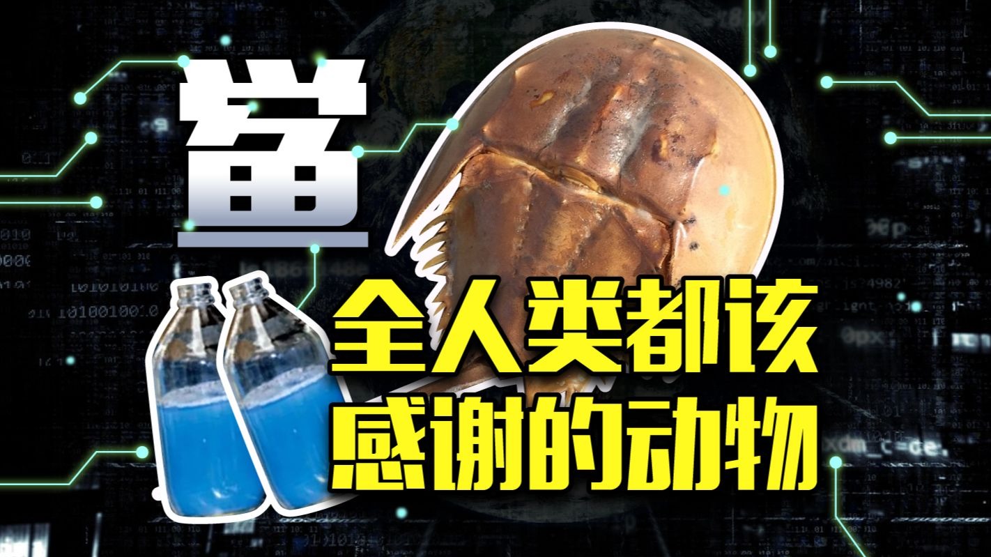 赛雷三分钟