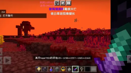 我的世界中毒王服务器有何独特之处？