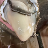 最好吃的生蚝是白蚝，而且以前的生蚝便宜到当饭吃