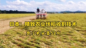 3153595de4967ff96e1b6e4ff8edf4c3d1374166.jpg@280w_158h_1c_100q.jpg