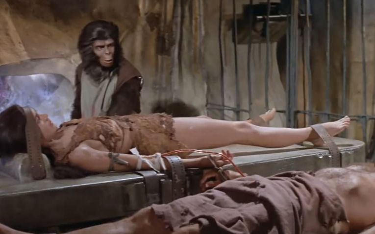 【越哥】2000年后，人类被大猩猩统治，地球上只剩下一个女人！