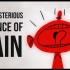 【Ted-ED】关于疼痛的科学 The Mysterious Science Of Pain