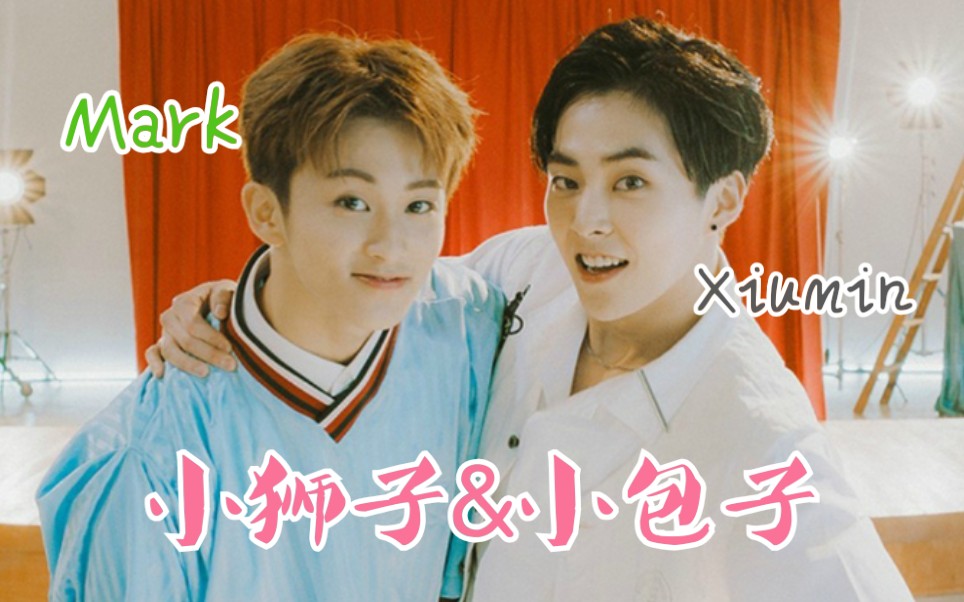 【XIUMIN/MARK】大哥:我最喜欢的弟弟是马克~ 颗粒:我想加入EXO~ kkk哔哩哔哩bilibili