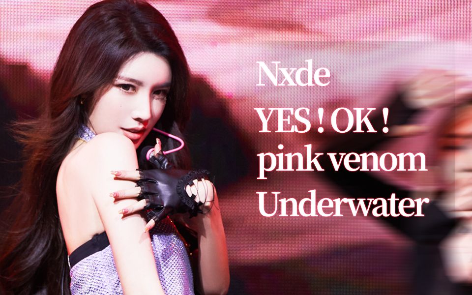 戴燕妮再跳yes!ok!/翻跳Nxde/pink venom/Underwater