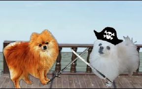 【Gabe the Dog】加勒比海盗