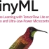 TinyML：TensorFlow Lite低功耗微处理器机器学习