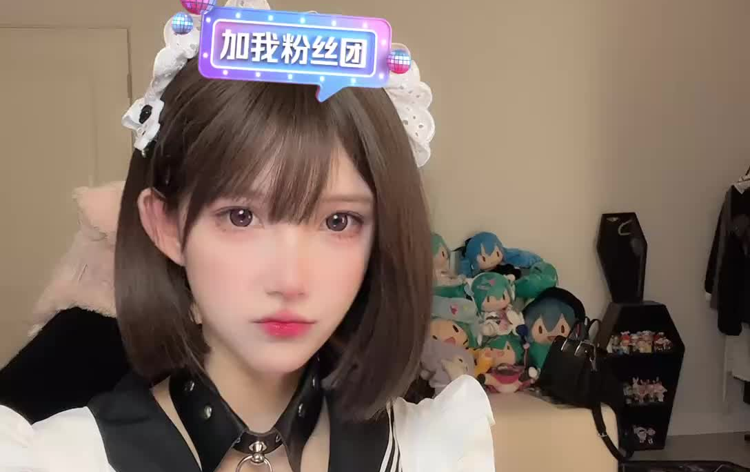 [Litter with cats] 6-15