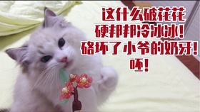 31b06cca28f7c9cc13a76791155c479f2f944266.jpg@280w_158h_1c_100q.jpg