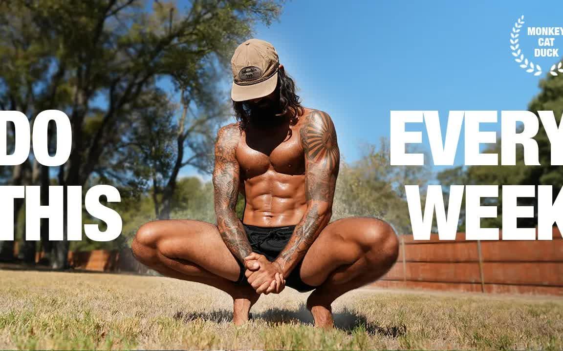 专家揭秘：6个动物动作让你更强更灵活