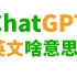 ChatGPT英文全称是啥? 到底啥意思?