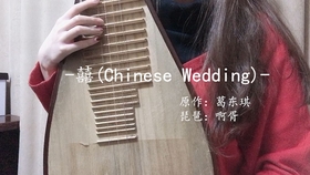 石楠小札简谱_红叶石楠(2)