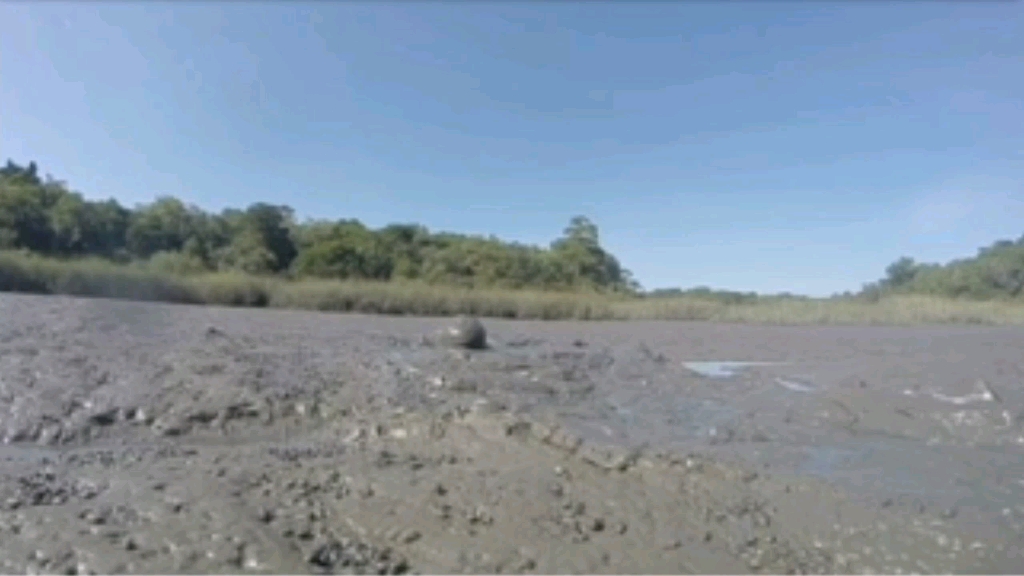 老外跳沼泽湖