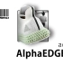 EP413_当4D不再遥不可及，adidas AlphaEDGE 4D 10千米测评