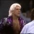 1993.12.27 Big Van Vader vs. Ric Flair WON4.5