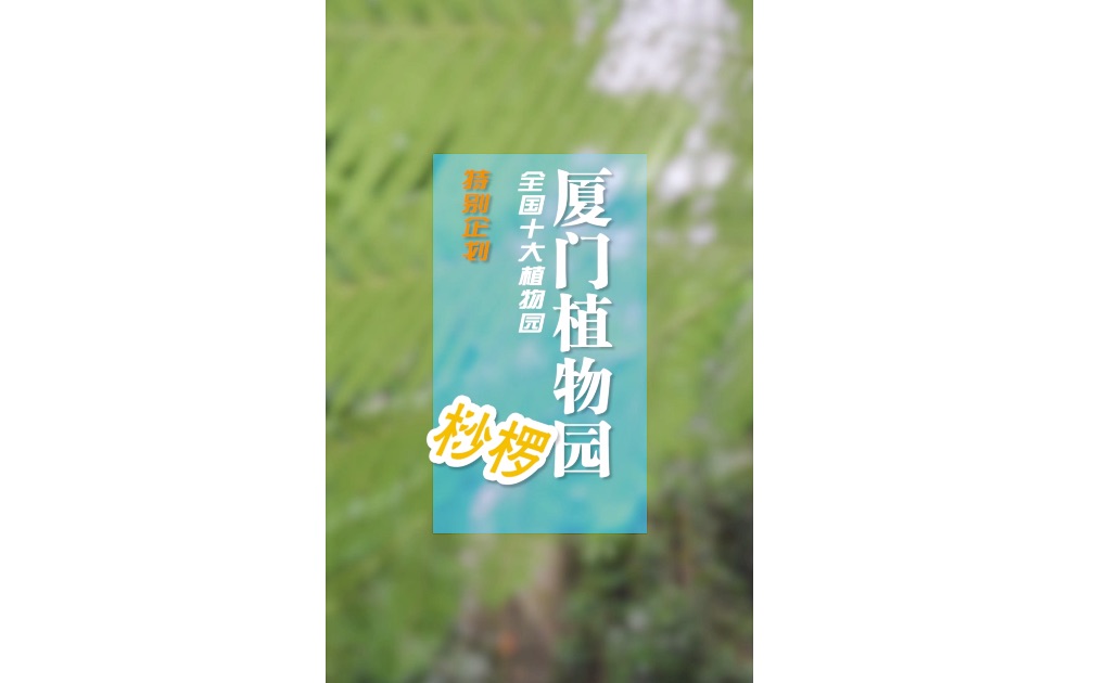 厦门植物园——桫椤哔哩哔哩 (゜゜)つロ 干杯~bilibili