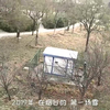 2019年在山东烟台的第一场雪，比以往来得更早一些