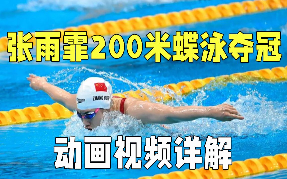 张雨霏女子200米蝶泳夺冠 动画视频详解全过程