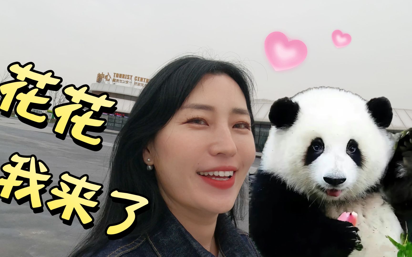 当韩国人第一次见熊猫花花，秒变迷妹，激动地要哭！| 成都VLOG 下