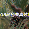 【Pr小效果】RGB颜色失真分离效果