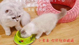 322e21e6064338c1d5ad51d7392d129526401af1.jpg@280w_158h_1c_100q.jpg