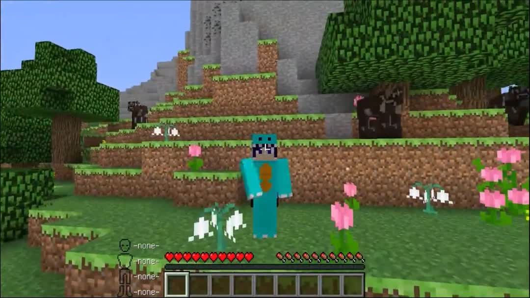 MC【我的世界】魔法植物的开端视频在线观看