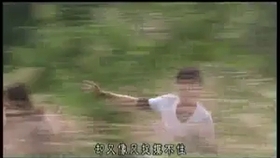 3238c149f037070edf420905c0a19590d0418259.jpg@280w_158h_1c_100q.jpg