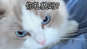 3246a33ca448976baf5dc870ca5934c6d13e7c9c.jpg@280w_158h_1c_100q.jpg