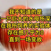 《温情饲养-3》我不知道的是我被一只巨大的水母所深爱着，它在我所饲养的实验体中，存在感几乎为0，直到一场变故