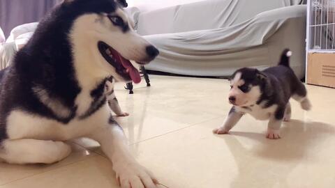 32559f17496e2680ef6ee9ed7250e372f554567d.jpg@480w_270h_1c