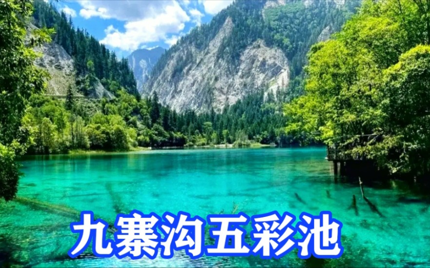 九寨沟五彩池，深藏不露的仙境，太漂亮了