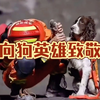 搜救犬的一生，向英雄致敬#搜救犬#保护动物#感人