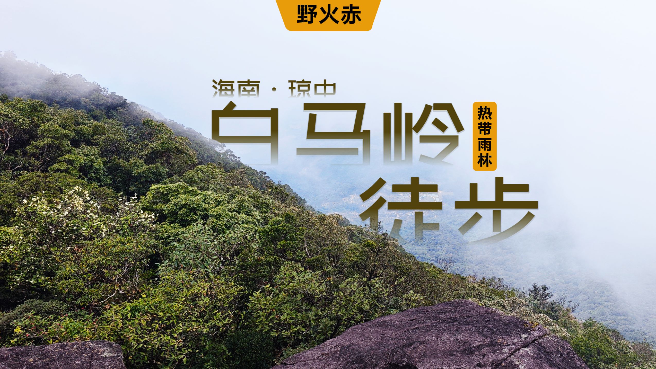 4K徒步丨海南腹地热带雨林，最容易迷路的白马岭