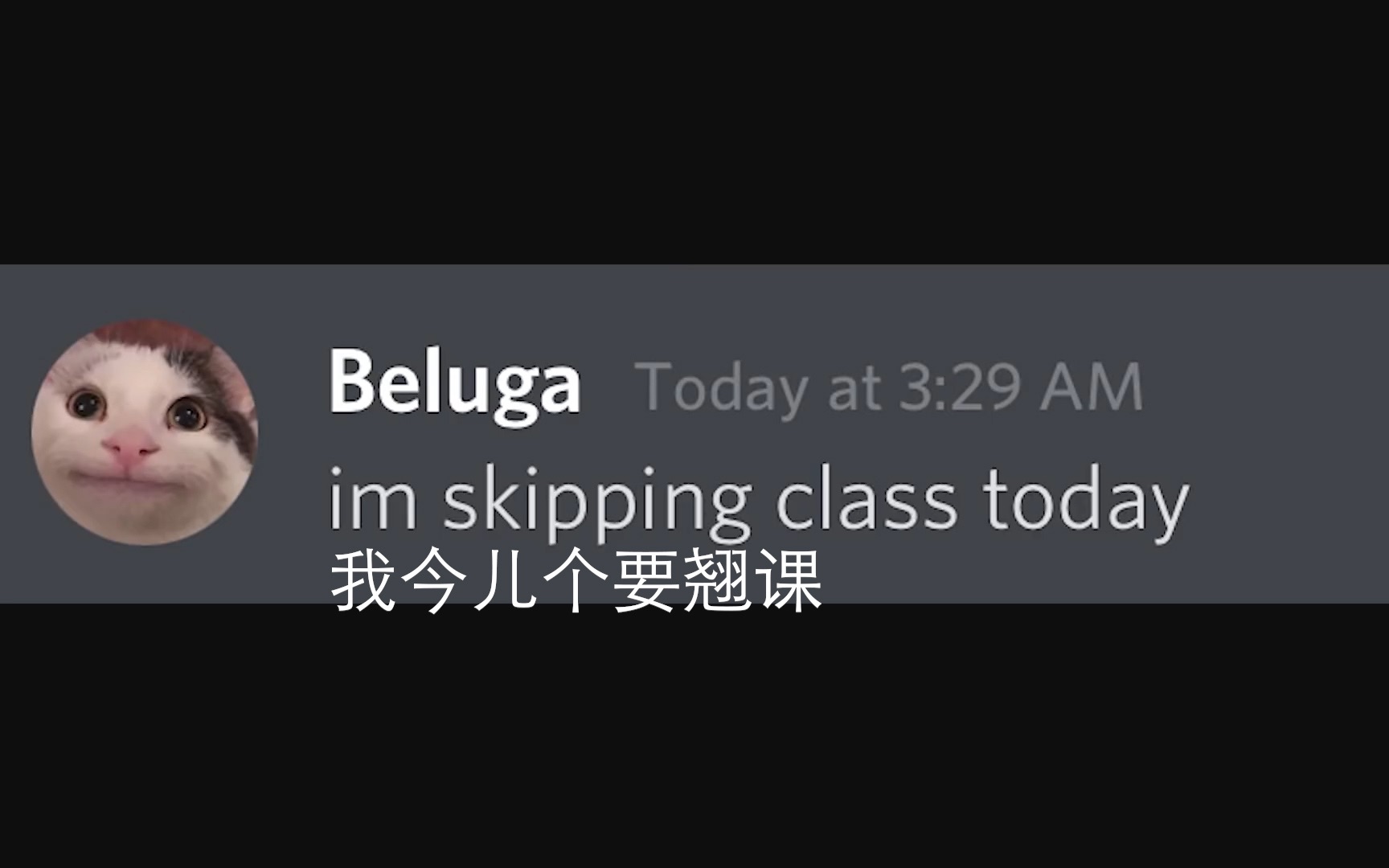 [Beluga和他的小伙伴]我今儿个就要翘课走 我看你们谁敢拦我走!