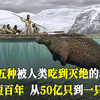 盘点五种被人类吃到灭绝的动物，短短百年，从50亿只到一只都不剩