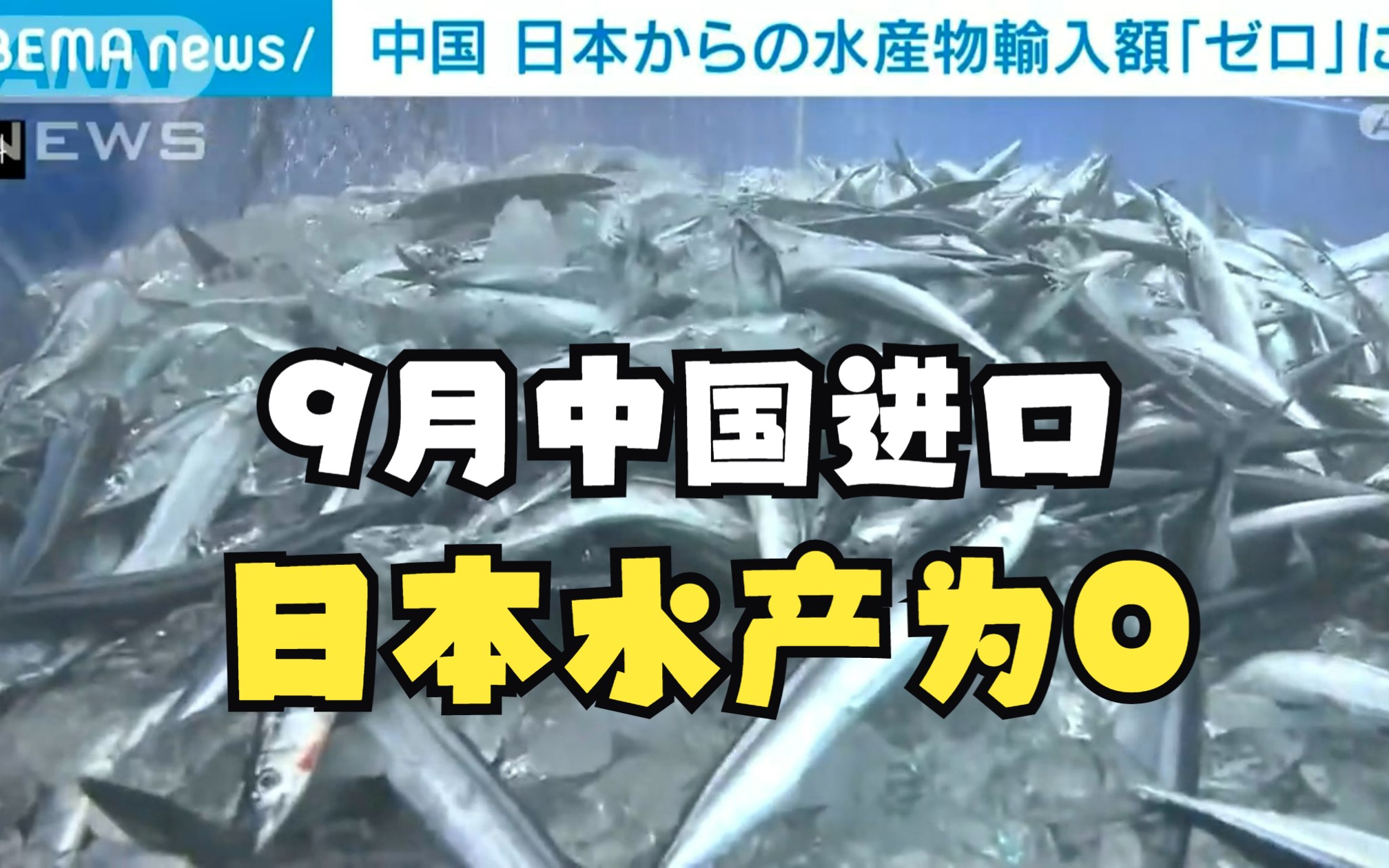 【中日字幕】9月份中国进口日本水产量为0,禁令前中国已进口价值420亿的日本水产品,日本巨亏!哔哩哔哩bilibili