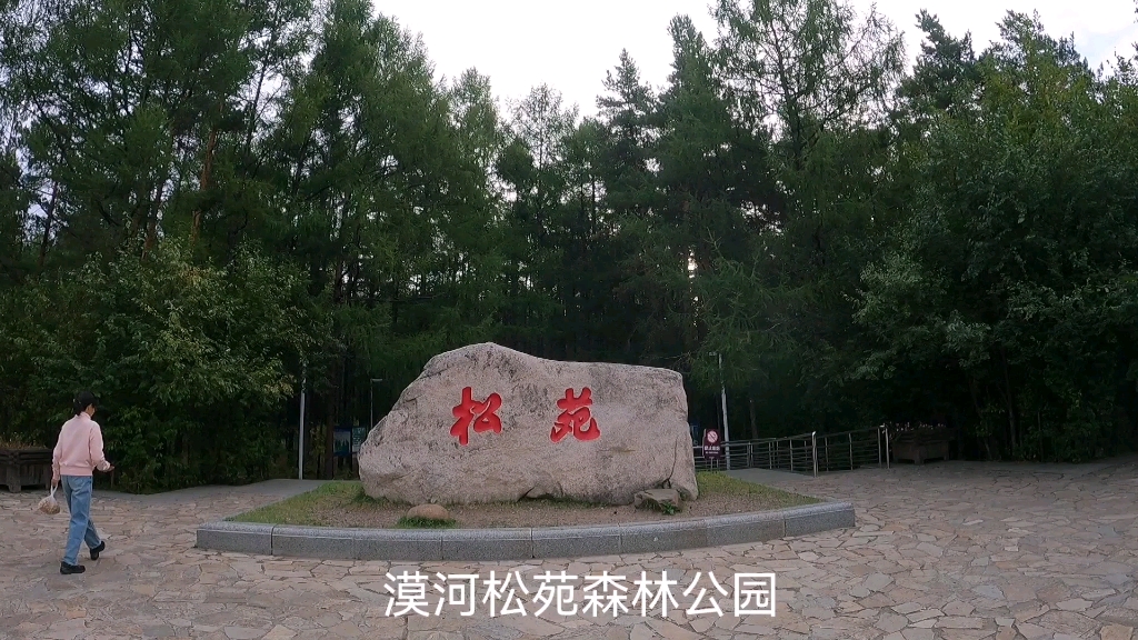 漠河松苑森林公园